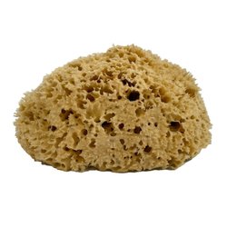 Naturschwamm 