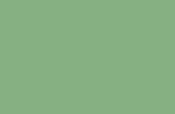 INK60P- Vert--Concentré de pigment -concentré, 250ml